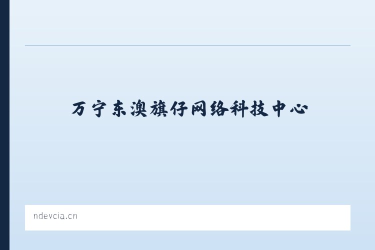 万宁东澳旗仔网络科技中心 列表图